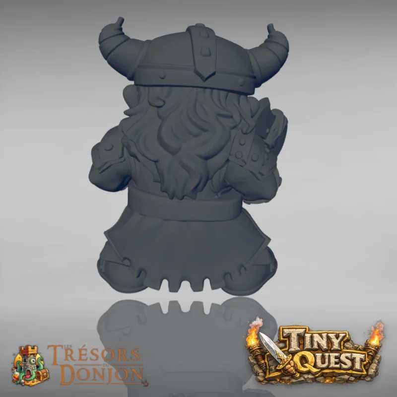 DWARF HOM-2 Nains TinyQuest + cartes exclusives