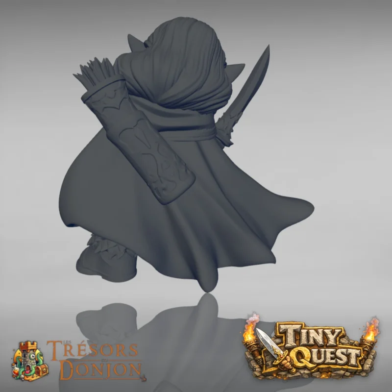 ELF FEM-2 Elfes TinyQuest + cartes exclusives