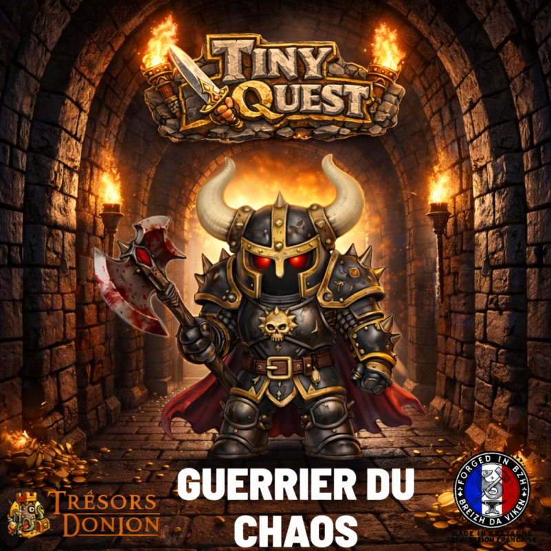 Figurine Guerrier du Chaos TinyQuest compatible HeroQuest et plateaux 3D. Socle 30 mm, facile à peindre, idéale pour boss.