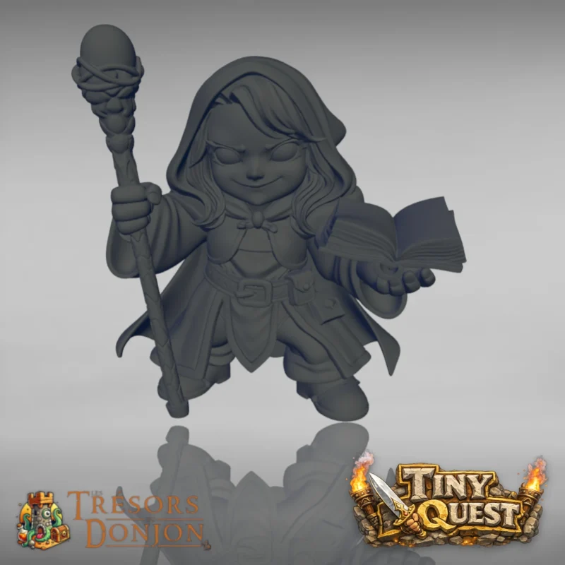 MAGE FEM-1 Enchanteur et Enchanteresse TinyQuest + cartes exclusives
