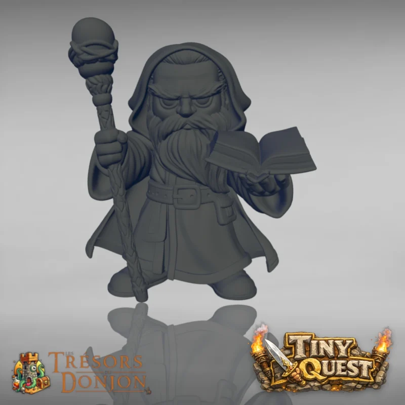 MAGE HOM-1 Enchanteur et Enchanteresse TinyQuest + cartes exclusives