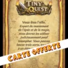CARTE-ELFE-MALE-BACK-offre Elfes TinyQuest + cartes exclusives