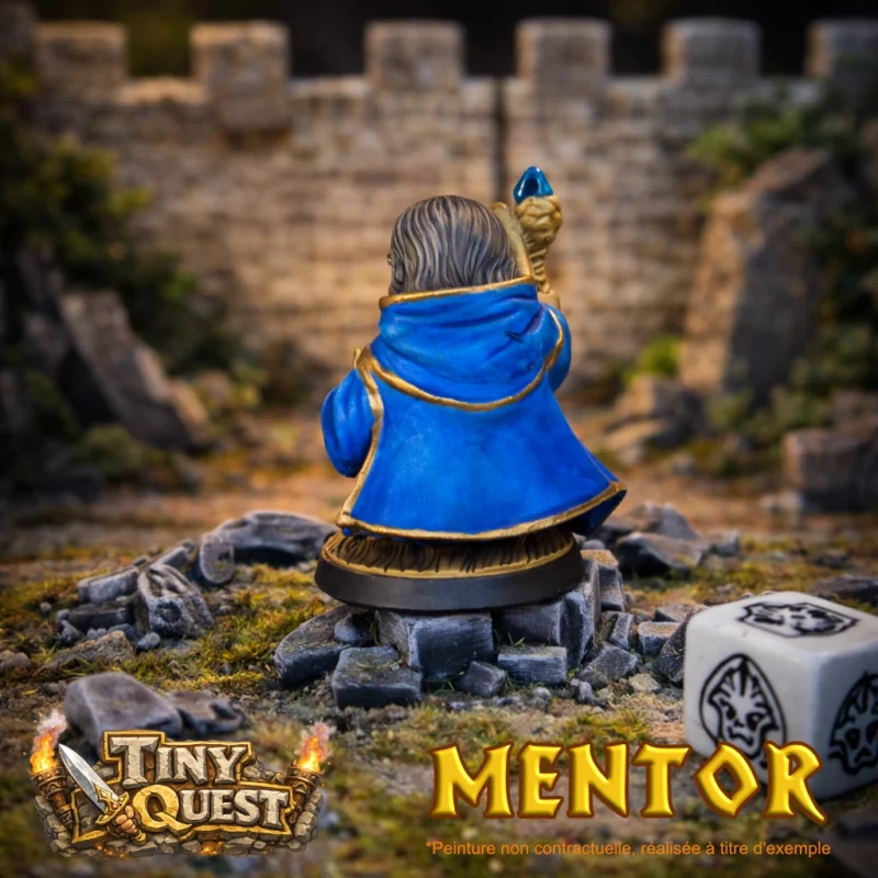 MENTOR-3 Mentor TinyQuest