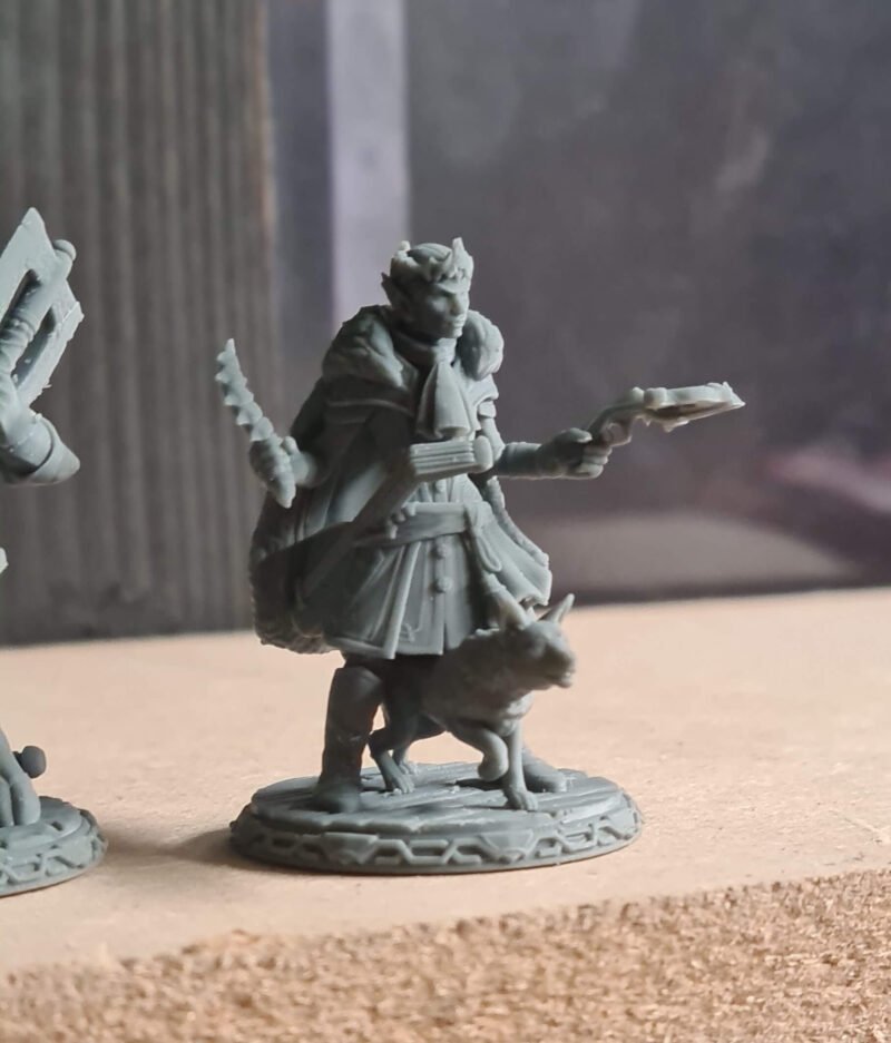 20241108_132928 Impression HeroForge Standard