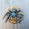 20250728_082458 Impression HeroForge XL