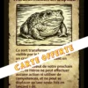 SORT EFFROI TRANSFORMATION EN CRAPAUD PROM Prêtresse Tribale TinyQuest + carte perso + 3 cartes de sorts exclusives