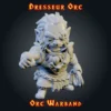 dresseur orc Figurine Dresseur Orc 3D imprimée en résine — Série Orcs StoneKing compatible HeroQuest
