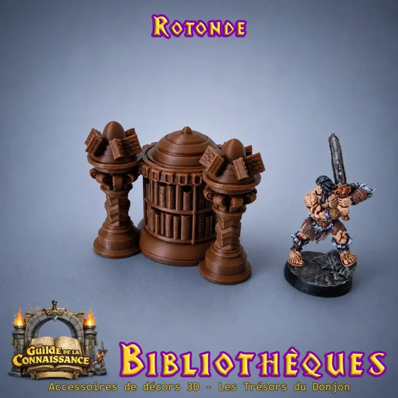 rotonde bibliothèque donjon 3D guilde de la connaissance décor JDR
