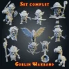 set complet gobelin set complet 10 figurines gobelin Goblin Warband en résine, clan des Crocmoisis, imprimées 3D en atelier breton