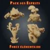 Pack des esprits Pack des esprits : les 4 esprits de la terre, du feu, de l'eau et du vent en résine, gamme Force Élémentaire